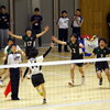 2019全日本インカレ　学連ごとの割当チーム数