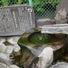 ●ひとり時間にお散歩●JR湯河原駅～万葉公園：約３キロ、徒歩４０分の行き当たりばったり散歩