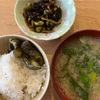 野菜中心生活　13日目