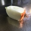 【芯編】【玉ねぎ】簡単 !! 食べ終わった 玉ねぎ の 芯を 植えて 栽培 初心者  再生野菜 リボベジ 家庭菜園 