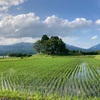 持続可能な食文化の日