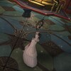 FF14プレイ日記 #432「マンダヴィル・トルクエタム」