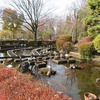 薬用植物園_小鳥がいっぱいだ！（東京都小平市）