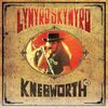  『Ｌive Ａt Ｋnebworth ‘７６』ＬＹＮＹＲＤ