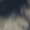 梅雨の星空 