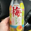 今日のおやつ【セイコーマート】