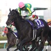 日曜函館１１Ｒ函館記念の馬券購入完了♪～小銭競馬～