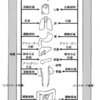 「呼吸の仕組み」