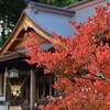 長井總宮神社、宮司が🏃る〰ランド💨💨