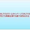 最強！モッピーのJALマイルドリームキャンペーンでJALマイルを貯める。学生でも専業主婦でも誰でも貯められる！