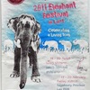 “2011 Elephant Festival in Laos”