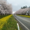 ４月２６日（日）：秋田キリスト教会・礼拝