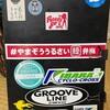 ズイフトGR1本