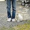 猫との出会いと別れ