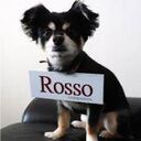 Rosso Tech Blog
