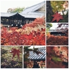 京都の秋ー東福寺