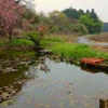 花室池（茨城県つくば）