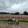 エイプでまったり鳩山・越生散策