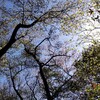 小さな目標！