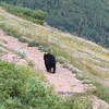 残念だった２度目の爺ヶ岳