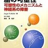 古典的経路と非古典的経路