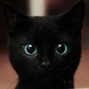 BlackCatが観た世界とドラマの様子