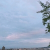 朝5時のヒグラシ