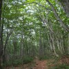 雛岳登山