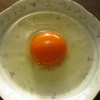 続・・卵試験、土佐ジローの卵