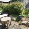秋の薔薇 東庭編