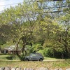 高麗川と権現川（秩父御岳神社入口付近）埼玉県飯能市