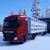 #59 “畜牛”をドレスデンからヴロツワフまで配送 〜Euro Truck Simulator2 (ETS2)〜
