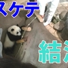 結浜、タスケテ～飼育員さん