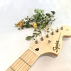 Stratocaster を買ってギターを始めてみた