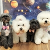 11月10日、お休みです