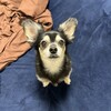 まろにー3420日目