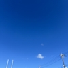 真っ青な空、仕事するには…