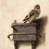 BBC-Culture  The intriguing and mystery of The Goldfinch 翻譯 