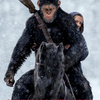 猿の惑星：聖戦記 IMAX特典ミニポスター