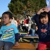 　マヤハのめんどり