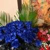 Blue Rose 青い薔薇