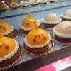 インコケーキ今月いっぱいで終了だよ！ことりカフェ心斎橋