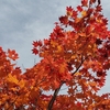 両親と、『紅葉スポット』を旅して！ (その３)