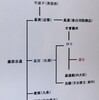 後白河院と寺社勢力（７２）渡海僧（１６）道元　２　乱世の母