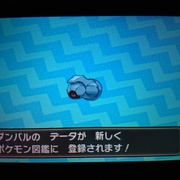 3ds ポケモンウルトラサン ウルトラムーン カテゴリーの記事一覧 イマキミ 3ds ポケモンウルトラサン ウルトラムーン カテゴリーの記事一覧 イマキミ