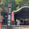 ２０２４年　ロードバイク　走行結果
