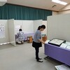 展示準備「小蛾類の世界」