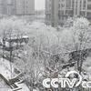 中国現在ーNOW　下雪了！