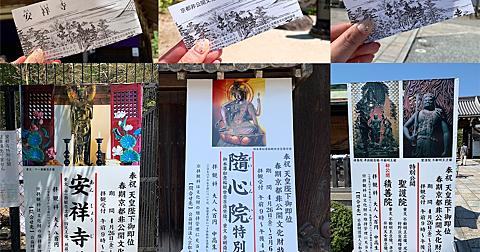 矜羯羅童子とは 社会の人気 最新記事を集めました はてな