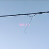 辻堂にて